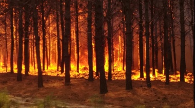 Los incendios en Corrientes ya afectaron más de 900 mil hectáreas