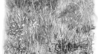 Presentan en San Telmo la muestra itinerante “Conjuro”, de la artista platense Sandra Sarraúa