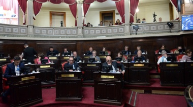 El Senado bonaerense sesionó por segunda vez en el año y aprobó la adhesión de la Provincia a la Ley Lucio