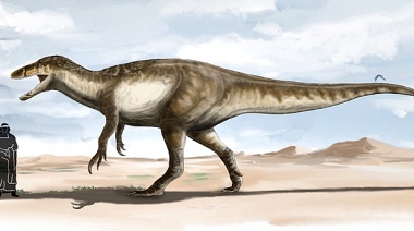 En Lago Argentino hallaron restos de un gigante que perteneció a una especie de dinosaurio carnívoro hasta ahora desconocido