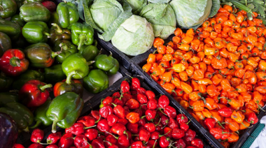 Riego y nutrición en un solo paso, la clave del fertirriego