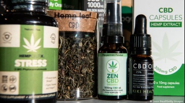 Sancionaron el marco regulatorio para el desarrollo industrial del cannabis medicinal