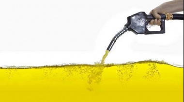 Movilidad sustentable: “¿puedo usar biodiesel 100% en mi vehículo?”