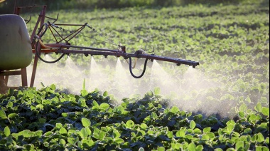 Sri Lanka abrió el debate: ¿es posible eliminar los fertilizantes químicos en la agricultura? 