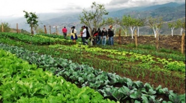 Gustavo Tito, experto del INTA: "La agricultura con agroquímicos no resuelve el hambre y en muchos casos lo profundiza"