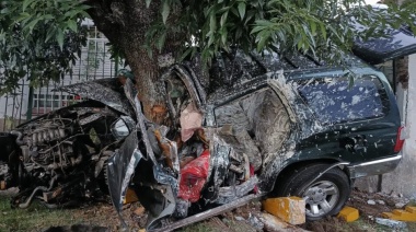 Tres delincuentes que se fugaban en una camioneta robada murieron al chocar contra un árbol