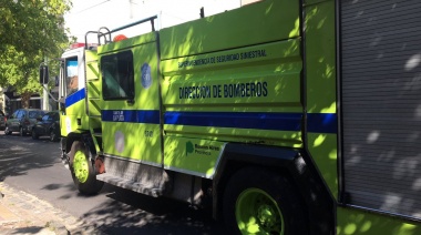 Pánico y evacuados en un edificio de La Plata por presencia de humo en un departamento