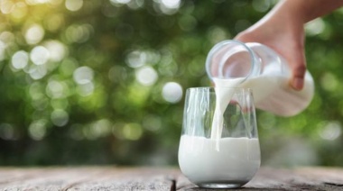 Sumaron 120 productos lácteos a la canasta de Precios Cuidados