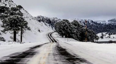 La Patagonia sufre un fuerte temporal de nieve