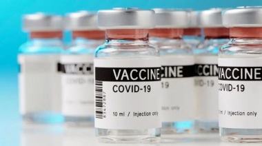 Paso a paso, cómo es el largo camino para pedir una indemnización por efectos adversos de la vacuna contra el coronavirus