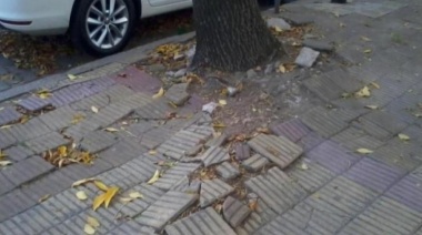 Qué hay que hacer para acceder a las baldosas gratuitas del programa municipal "Veredas a la obra"
