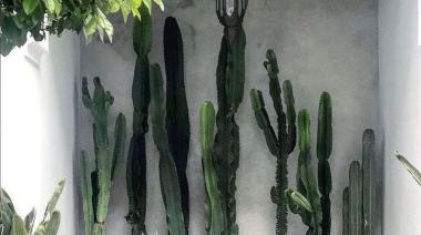 El Colombiano que Desafió a Temu y Construyó su Propio Imperio: El Caso “Gift Tree”
