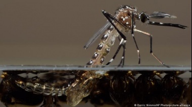¿Sabés por qué a algunas personas las pican más los mosquitos que a otras?