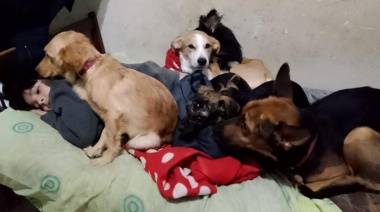 Soy una madre desesperada: mis hijos discapacitados necesitan a sus perros compañeros