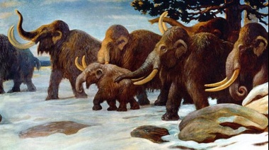 Cómo es el el plan para reintroducir grandes manadas de mamuts en el Ártico