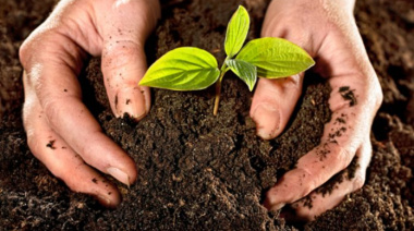 Meridiano V será sede de la 1° edición de la Feria Agroecológica Municipal Itinerante de La Plata