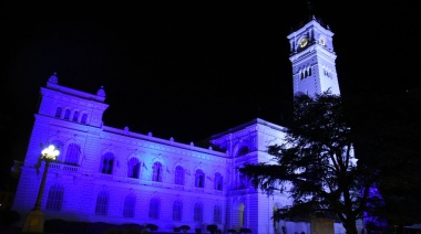 El Palacio Municipal de La Plata se iluminó de azul para concientizar sobre el Día Mundial de la Diabetes