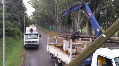 Este miércoles EDELAP hará más de una decena de trabajos en la red eléctrica de La Plata