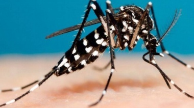 Trabajan en la prevención contra el Dengue en los barrios de La Plata