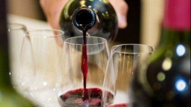 La Provincia de Buenos Aires promulgó la ley "Vino Buenos Aires" para promocionar la vitivinicultura