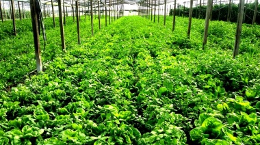 El intendente de La Plata dispuso beneficios fiscales para los productores rurales afectados por la sequía