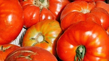 Se viene la 18° Fiesta del Tomate Platense