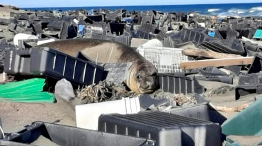 Con imágenes satelitales y de radar encontraron un basural de plástico en el Mar Argentino