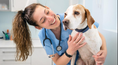 Harán dos jornadas gratuitas de vacunación y castración para perros y gatos en La Plata
