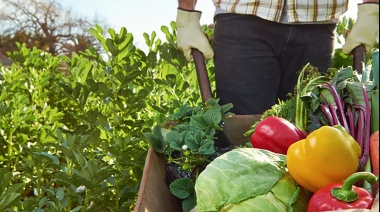 Aseguran que más del sesenta por ciento de lo que consumen los argentinos proviene de la agricultura familiar