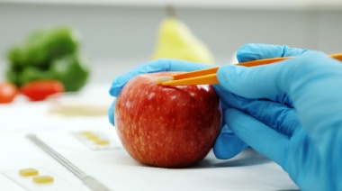 Desarrollan un método para determinar la presencia de plaguicidas en cáscaras de frutas y vegetales