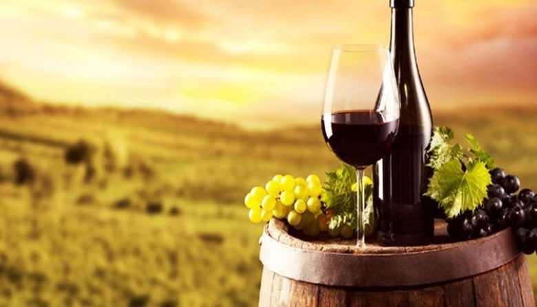 Preparan en Cañuelas el lanzamiento de "Vinos Buenos Aires", la marca del enoturismo  bonaerense - Info Blanco Sobre Negro