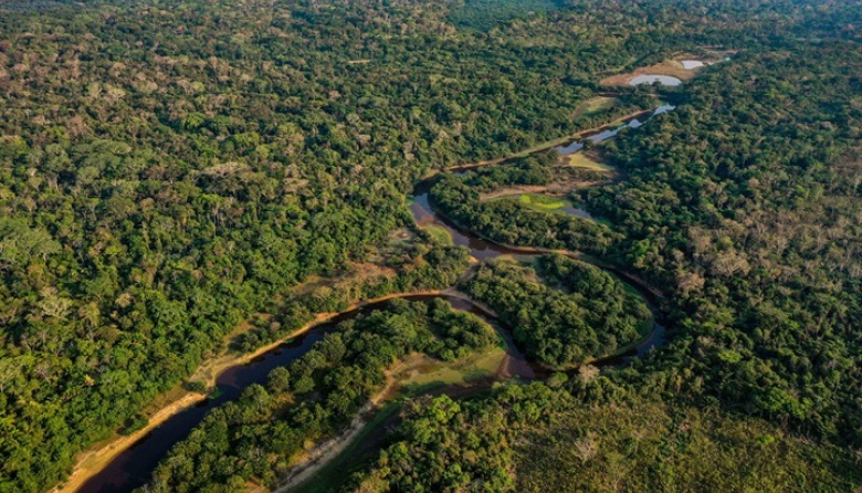 Through laser technology, they discovered interconnected settlements of previously unknown Amazonian cultures