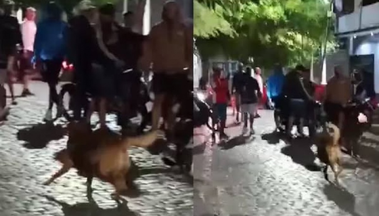 Se trasladó a Berisso el conflicto por la UOCRA La Plata: un ataque, armas y varios hospitalizados