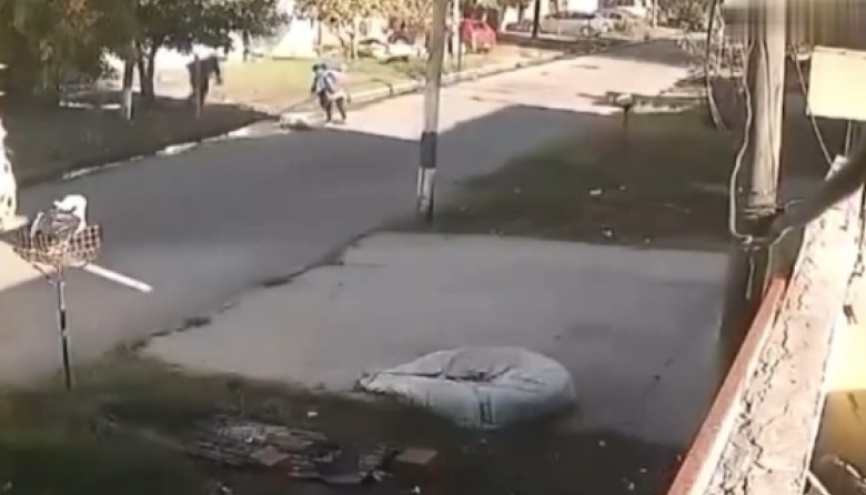 Detuvieron al conductor del camión que atropelló y mató a la barrendera en La Plata