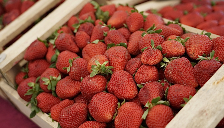 Llega la primera Fiesta de la Frutilla al playón de Meridiano V de La Plata