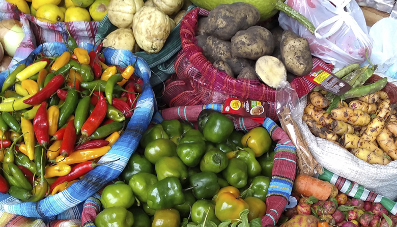 Un investigador de La Plata relevó el potencial medicinal y alimenticio de plantas locales