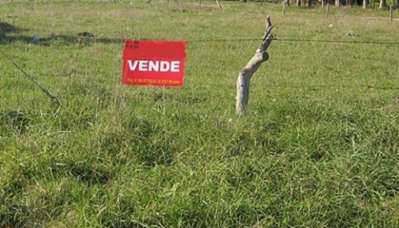 Alerta por venta irregular de lotes en Berisso