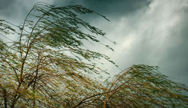 Advierten por ráfagas de entre 60 y 70 kilómetros por hora para este domingo en La Plata
