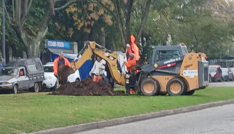 Plan de obras en el Parque Saavedra de La Plata: vecinos convocan a una marcha contra el "cambio vehicular" que implica