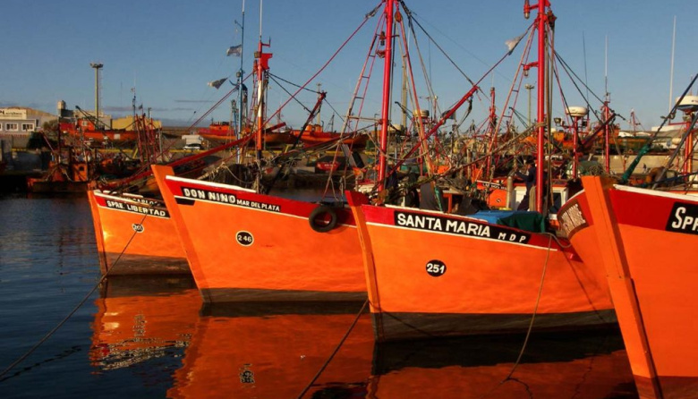 La Provincia debe recuperar la Subsecretaría de Pesca que cerró Daniel Scioli