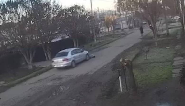 Un automovilista chocó a un perro, escapó y generó indignación en Lisandro Olmos