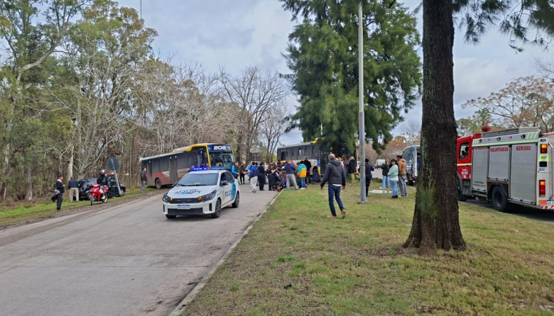 Un micro de la línea 202 chocó con un auto e impactó contra un árbol en Berisso