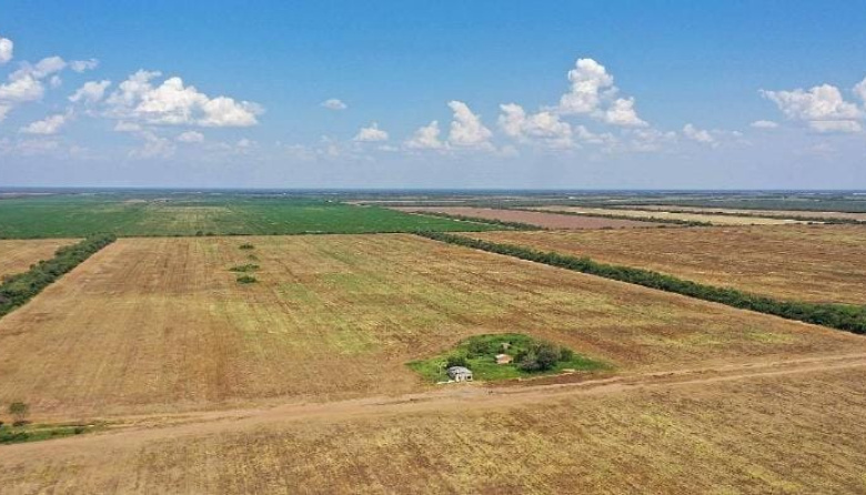 Alak advirtió sobre la reforma de la Ley de Tierras y llamó a defender la soberanía