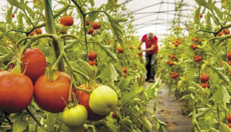 Productores de la región advirtieron sobre la "situación crítica" del sector