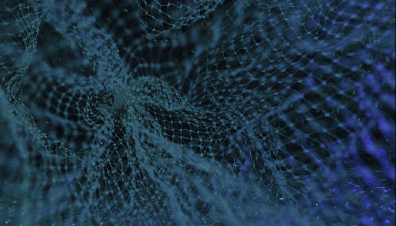 The Blockchain Paradox: Does More Validators Mean Better Decentralization?