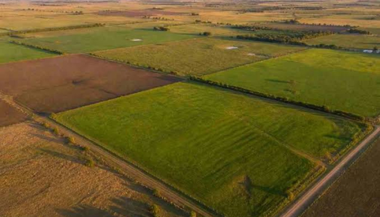 La Justicia le ordenó al Gobierno informar y preservar datos sobre tierras rurales