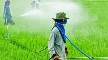 Glifosato más arsénico: "Un escenario de riesgo ecotoxicológico bastante importante"