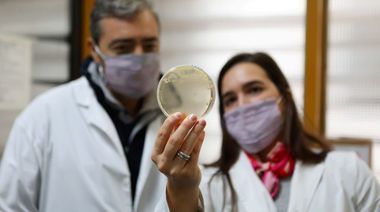 Investigadores de La Plata convierten desechos de la industria quesera en biocombustibles, proteínas y probióticos