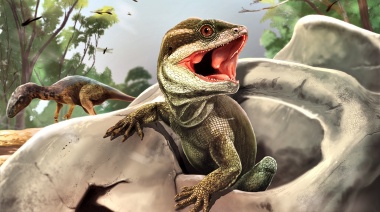 Hallaron al “padre de los lagartos”, una especie que se encuentra en la base del árbol evolutivo de las serpientes y de las iguanas