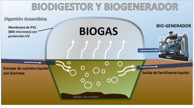 Lautaro Di Gregorio, estudiante de la UNLP: "Elaboramos un proyecto para tener biodigestores pequeños en departamentos"